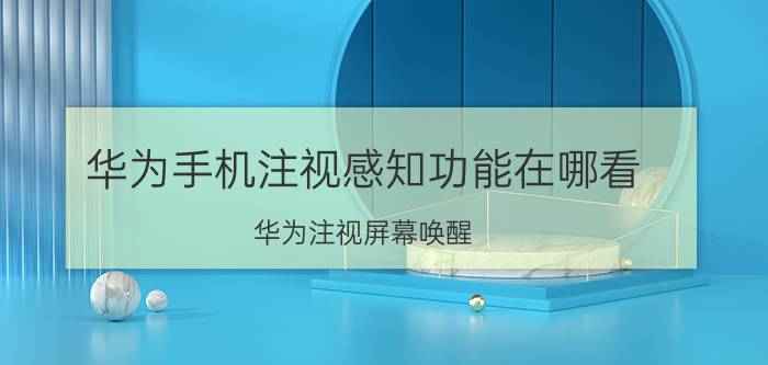 华为手机注视感知功能在哪看 华为注视屏幕唤醒 原理？